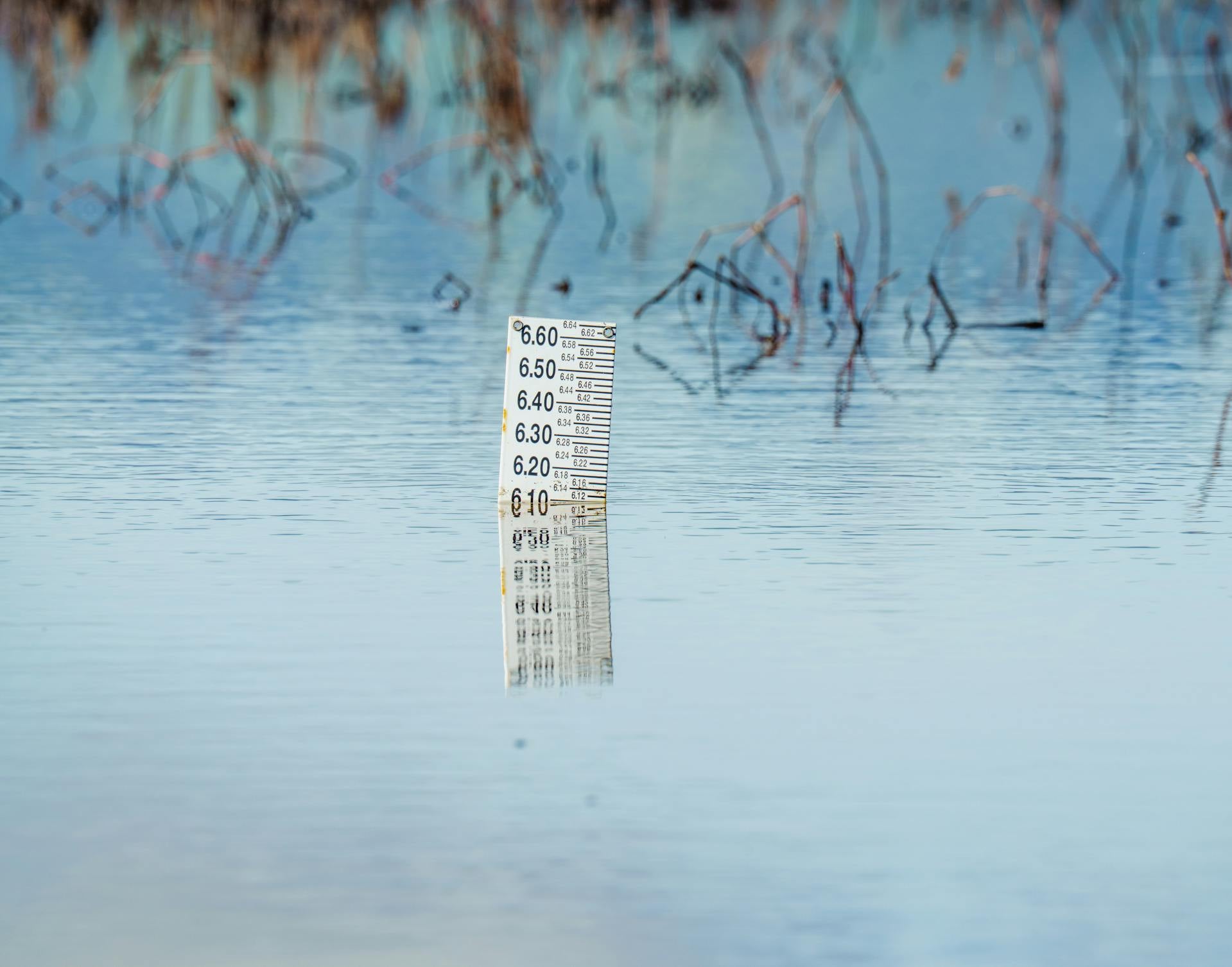 A water level gauge stands partially submerged in calm water, surrounded by blurred, dry vegetation in the background.