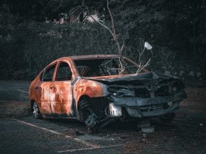 A severely burned and rusted car sits abandoned in a parking lot, with a small tree growing through its interior.