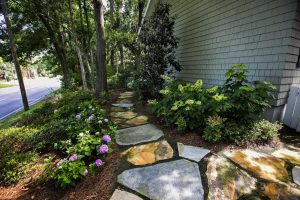 A stone pathway bordered by green shrubs and blooming purple hydrangeas runs alongside a house with gray siding.