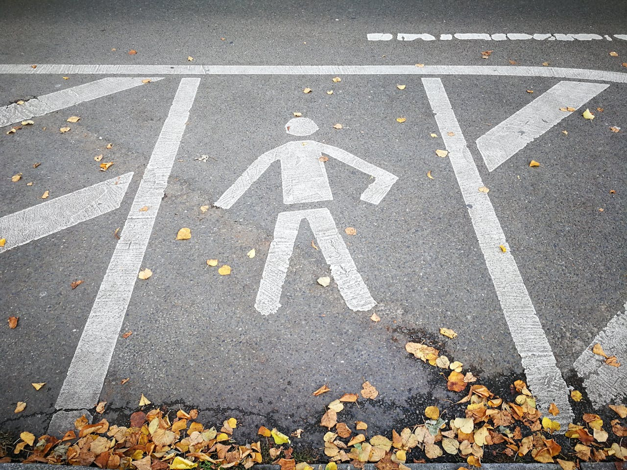 White pedestrian symbol painted on asphalt within white lines, surrounded by scattered yellow and brown autumn leaves.